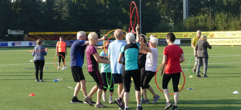Boot camp for older adults; healthy ageing without professionals