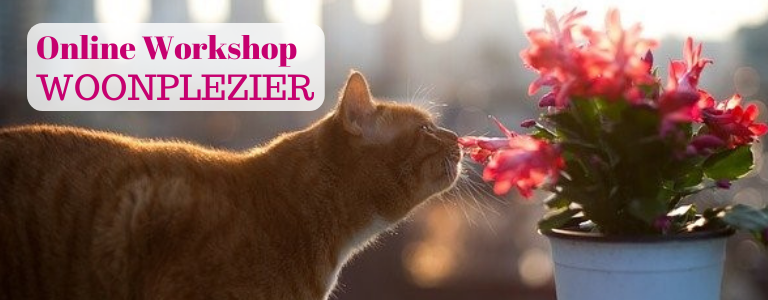 Oud worden? Begin jong! Ook als het gaat om woonplezier