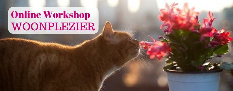 Gratis online workshops over woonplezier